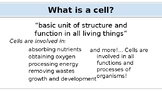 Cell Structure & Organelles Presentation
