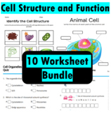 Cell Structure and Function 10 Worksheets with answer key