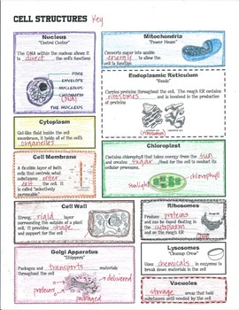 Cell Structure and Function Article, Task Cards, Diagrams, Graphic ...