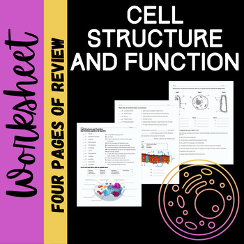 Preview of Cell Structure and Function Review Worksheet