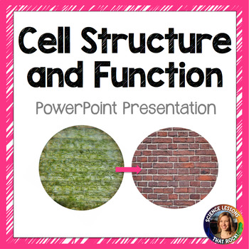 Preview of Cell Structure and Function