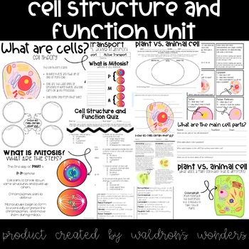 Preview of Cell Structure and Function Unit