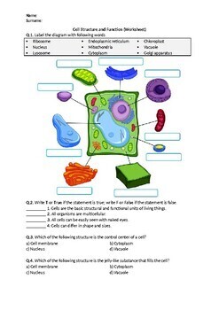 Cell Structure - Worksheet | Printable and Distance Learning | TpT