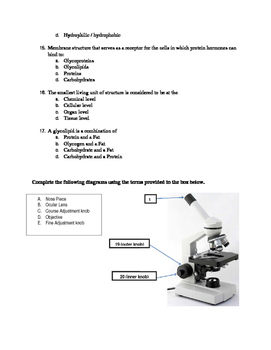 button Distribution Oriental Cell Structure and Microscope Quiz by Science Linkage | TpT