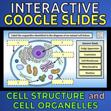 Cell Structure and Organelles -- Interactive Google Slides