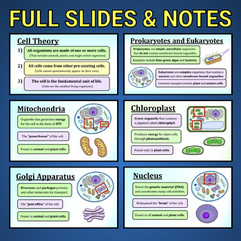 Cell Structure and Organelles -- Notes and Worksheet Set (Plant and Animal)