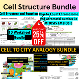 Cell Structure and Function Cell City analogy Chromatid nu