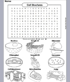 Plant and Animal Cell Organelles Activity Word Search (Cel