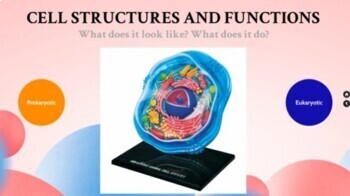 Preview of Cell Structures & Functions