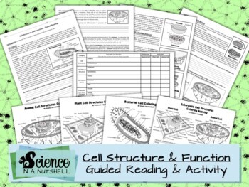 Preview of Cell Structures & Functions Guided Reading with Activity