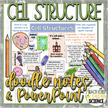 Preview of Cell Structures Doodle Notes & Quiz + Power Point