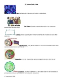 Cell Study Guide in color