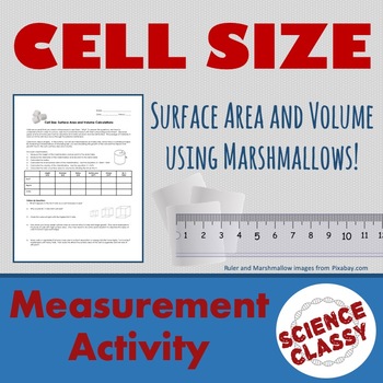 Preview of Cell Surface Area to Volume Ratio Activity