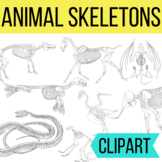 Animal Skeletons Clipart