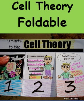 Preview of Cell Theory Foldable