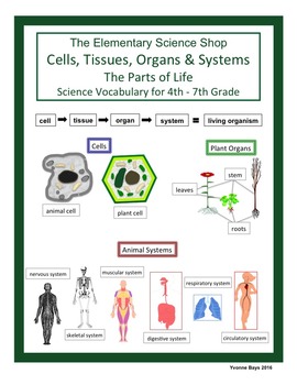 Preview of Cell, Tissues, Organs and Systems Grades 4-7