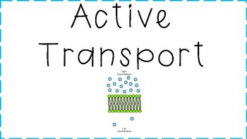 Preview of Cell Transport 2 Word Wall and Flash Cards (English/Spanish)