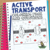 Cell Transport Active Transport Coloring Page and Applicat