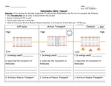 Cell Transport Jigsaw Activity With Answer Key