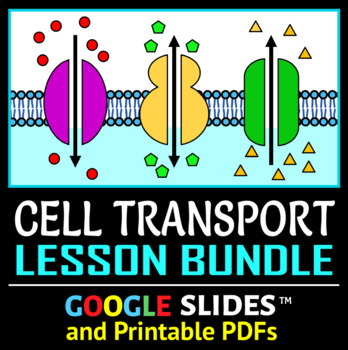 Cell transport distance learning