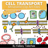Cell Transport Bio Clip Art | Clipart Moveable Pieces for 