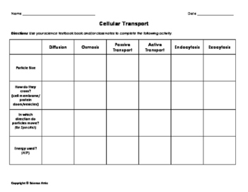 Cell Transport Chart