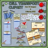 Cell Transport Clipart