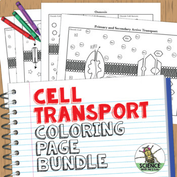 Preview of Cell Transport Coloring Activities Bundle
