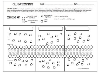 30 Cells And Their Environment Worksheet Answers - Worksheet Project List