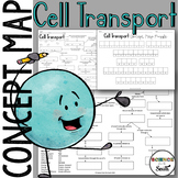 Cell Transport Concept Map Graphic Organizer