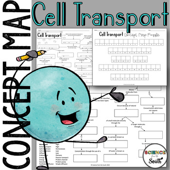 Preview of Cell Transport Notes or Assessment and Puzzle Activity Printable and Digital