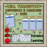Cell Transport: Diffusion & Osmosis Checkpoint Quiz