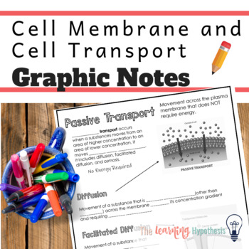 Preview of Cell Transport Worksheets. Digital & Print.  Distance Learning.