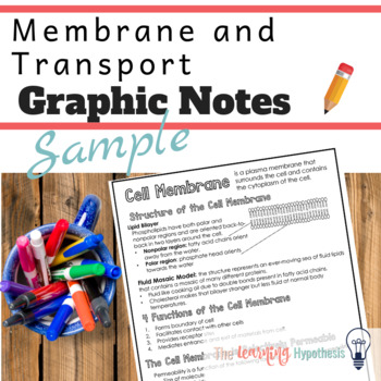 Preview of Cell Transport Worksheets.  Cell Membrane. Digital & Print