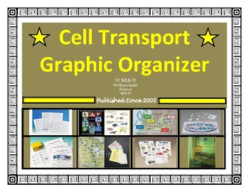 Preview of Cell Transport Graphic Organizer (Study Guide)