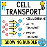 Cell Transport and Cell Membrane Growing Bundle