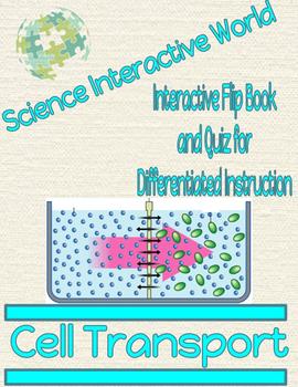 Preview of Cell Transport Interactive Flip Book and Quiz