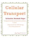 Cell Transport Interactive Notebook Unit