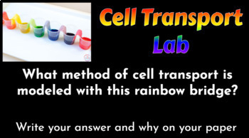 Preview of Cell Transport Mini Lab