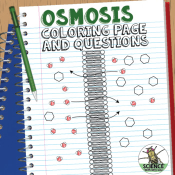 Preview of Cell Transport Osmosis Coloring Page or Poster and Application Question Pages