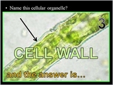 Osmosis, Cell Transport Quiz Game
