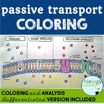 Cell Transport- Passive Transport Coloring