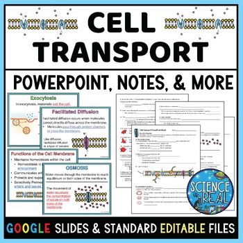 Preview of Cell Transport PowerPoint with Notes, Questions, and Kahoot