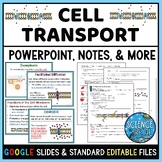 Cell Transport PowerPoint with Notes, Questions, and Kahoot