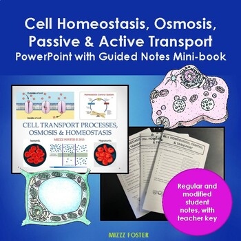 Preview of Cell Homeostasis, Osmosis, Passive, & Active Transport: PPT and Guided Notes