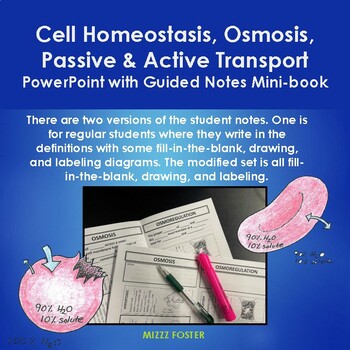 homeostasis in cells diagram