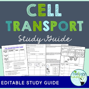 Preview of Cell Transport Study Guide