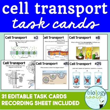 Preview of Cell Transport Task Cards