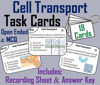 Preview of Cell Transport Task Cards Activity (Diffusion and Osmosis etc.)