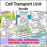 Cell Transport Unit Biology